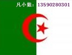 供应手提灯ALGERIA认证检测